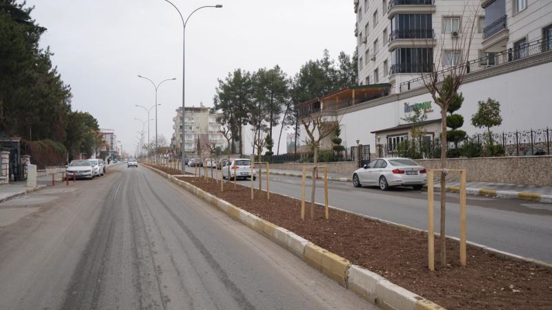 HAYDAR EFENDİ CADDESİ OYA AĞACIYLA BEZENDİ