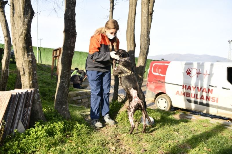 Terk eden 30 bin TL ödeyecek