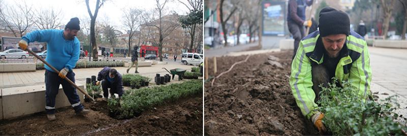 Yeni Yürüyüş Yolu yazın lavanta kokacak