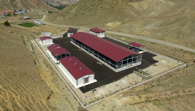 DOĞU’NUN İNCİSİ HAYVAN BORSASI SEKTÖRDE ROL MODELİ OLDU