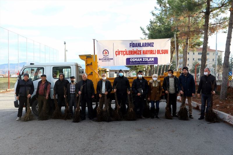 Büyükşehir’in ceviz fidanı seferberliği devam ediyor