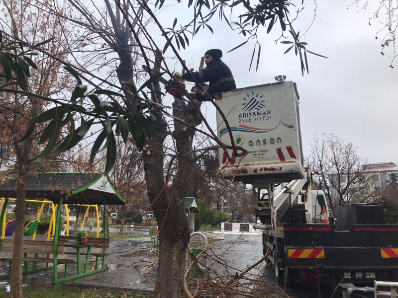 MEVSİMSEL BUDAMA ÇALIŞMALARI PARKLARDA SÜRÜYOR