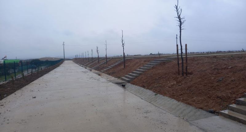 Demirciler Köyü Mezarlığı ağaçlandırıldı