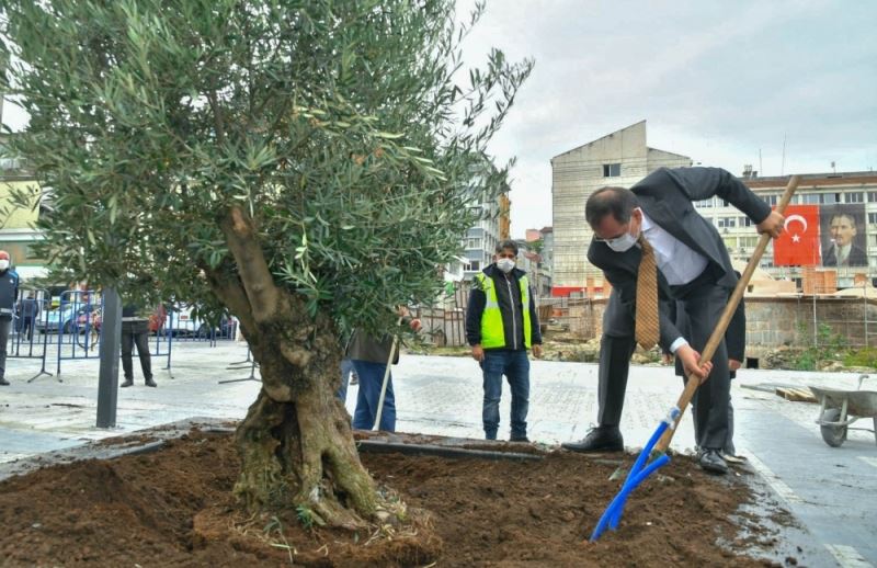 Büyükşehir