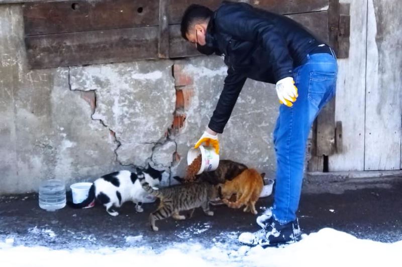 Yoğun Kış Günlerinde Sahipsiz Dostlarımızı Yalnız Bırakmıyoruz
