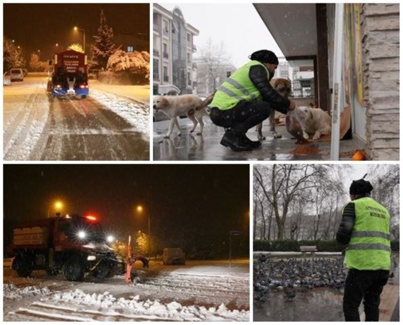 KAR KÜREME, TUZLAMA VE BESLEME ÇALIŞMALARI ARALIKSIZ DEVAM EDİYOR