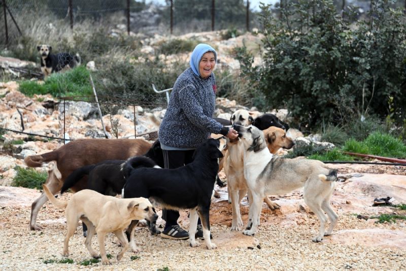 Mersin Büyükşehir’le Gönüllü Hayvanseverler El Ele