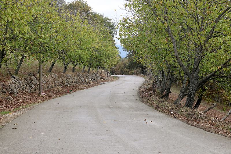 “Akyazı’da 50 kilometrelik güzergâhlar beton yol ile yenilenecek”