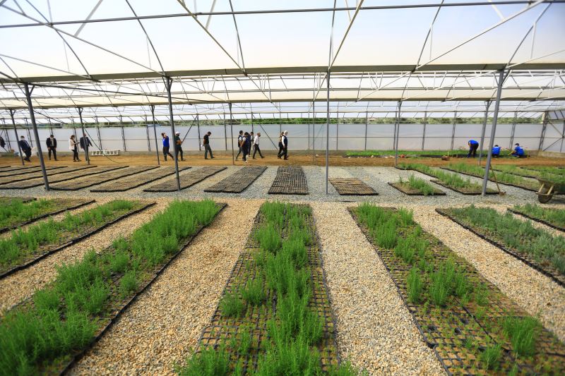 Büyükşehir Yağmur Hasadıyla Yılda 300 Ton Su Tasarrufu Sağlıyor