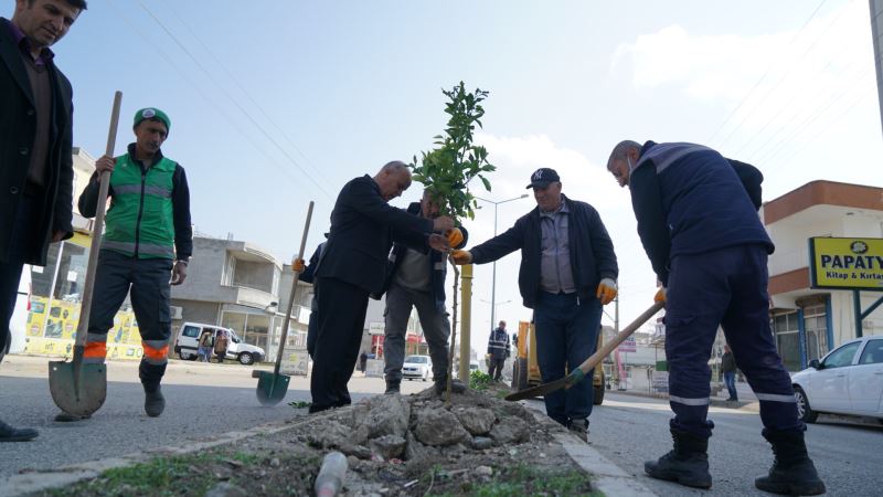 ŞEHRİMİZİ İLKBAHAR’A HAZIRLIYORUZ