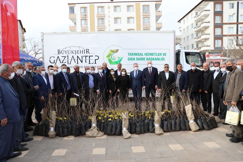 BÜYÜKŞEHİR, OĞUZELİ ÇİFTÇİSİNE 15 BİN NAR VE 10 BİN ANTEP FISTIĞI FİDANI DAĞITTI