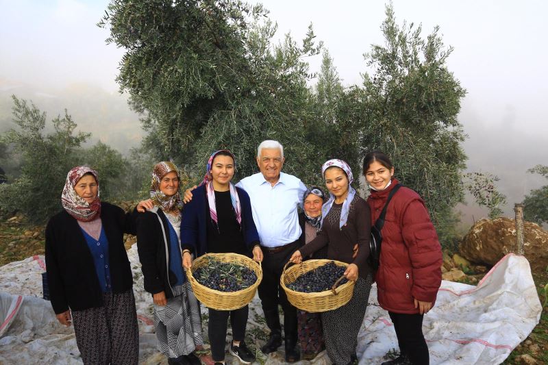 Başkan Gürün; “Zeytinliklerin Korunması İçin Hukuki Mücadele Başlatıyoruz”