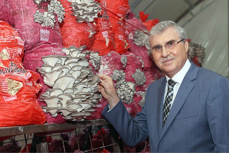 Yüce’den proje müjdesi: “Türkiye’nin en kaliteli mantarlarını üreteceğiz”