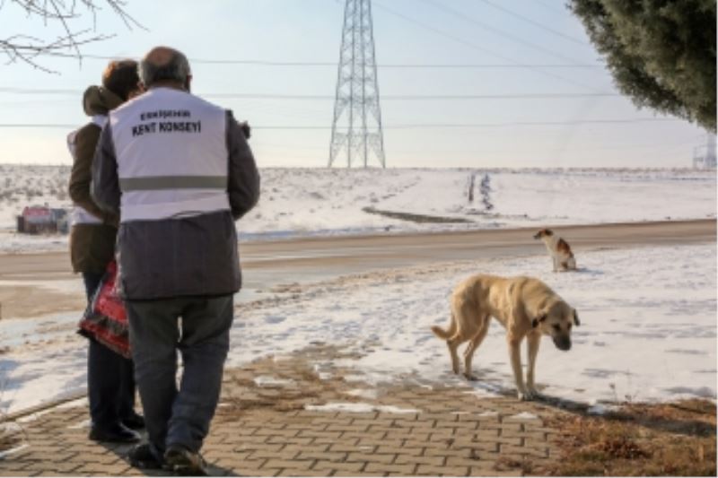 BÜYÜKŞEHİR BELEDİYESİ VE KENT KONSEYİNDEN SOKAKTA YAŞAYAN CANLAR İÇİN İŞ BİRLİĞİ