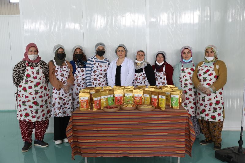 BÜYÜKŞEHİR DESTEĞİ İLE OĞUZELİLİ KADINLAR İHRACATA HAZIRLANIYOR