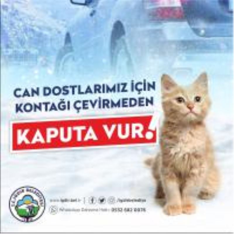 Kontağı çevirmeden önce lütfen kaputa vurun
