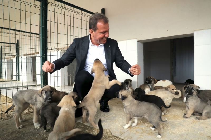 Başkan Seçer: “Hayvan Sevgisi Olan Gönüllülerle İş Birliği Yapmamız Bizim İçin Önemli”