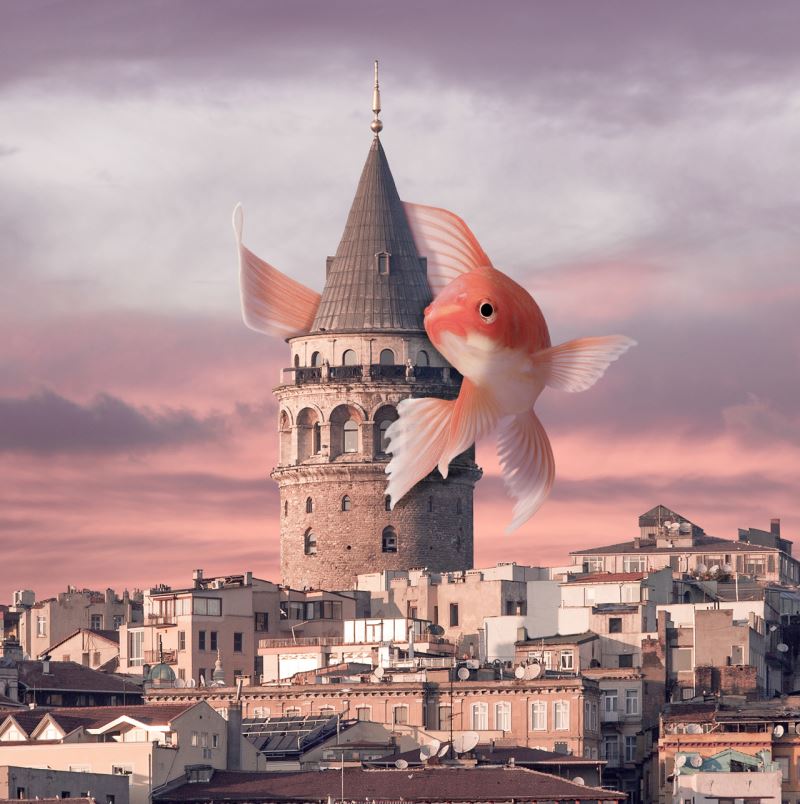 “Foto Manipülasyon” sergisi açıldı