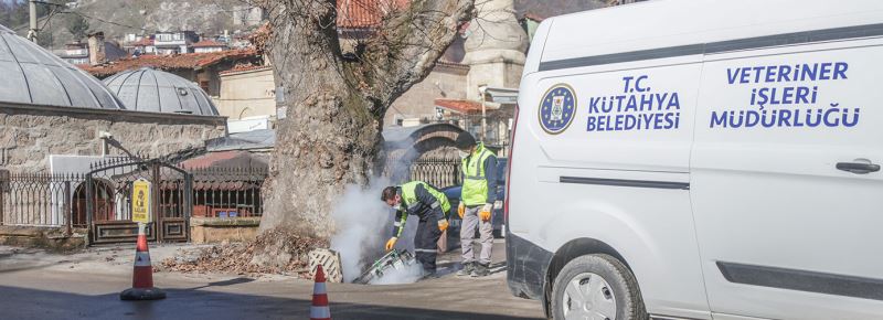 HAŞERELERLE KIŞLAK MÜCADELESİ BAŞLADI