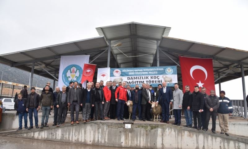 Büyükşehir’den Hayvan Üreticisine Büyük Destek