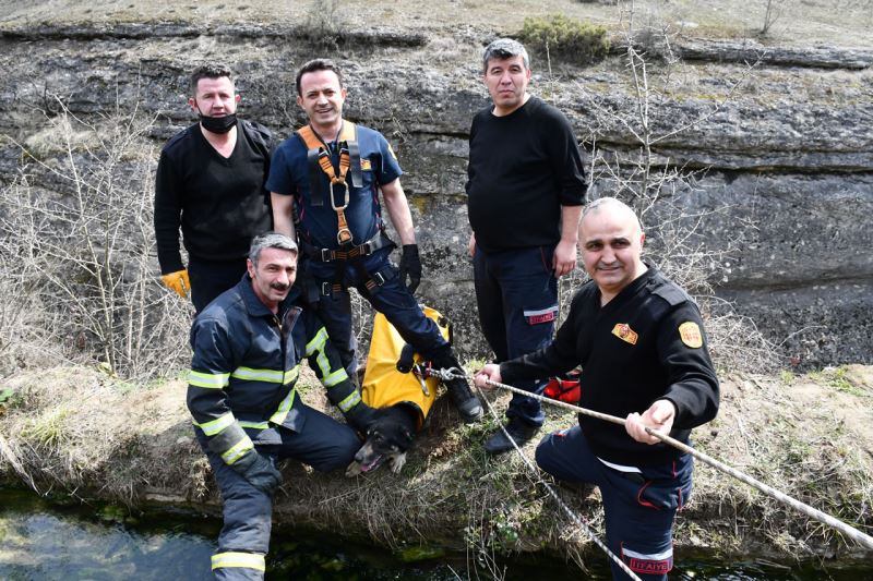 İtfaiye Ekiplerimiz Mahsur Kalan Köpeği Kurtardı