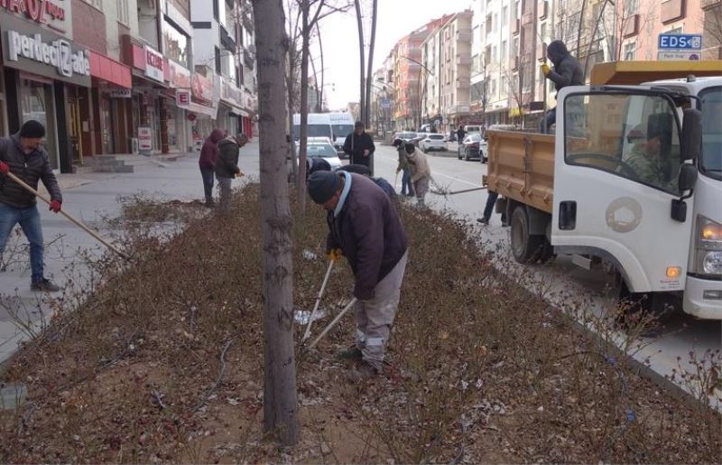 PARK VE BAHÇELER MÜDÜRLÜĞÜ EKİPLERİ, GÜL BUDAMA İŞLEMLERİNİ SÜRDÜRÜYOR