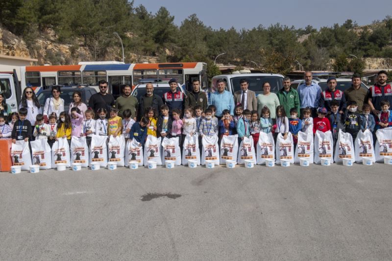 Büyükşehir Ekipleri Kenti Sokak Sokak Dolaştı, Patili Dostları Besledi