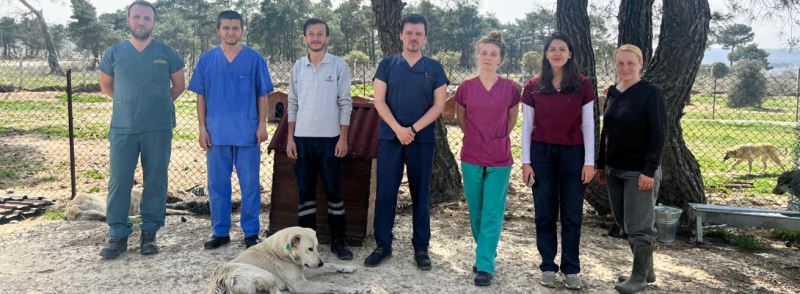 Hayvan Refahı ve Popülasyon Kontrolü Projesi Tamamlandı