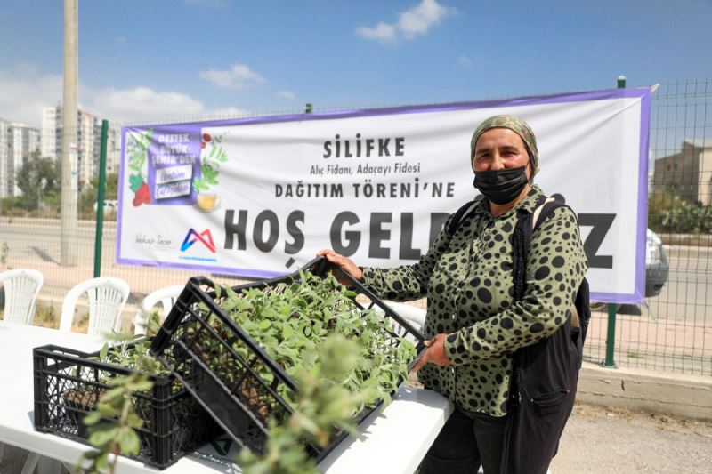 Büyükşehir’in Tarımsal Destekleri İle Mersin’de Toprakların Bereketi Artıyor
