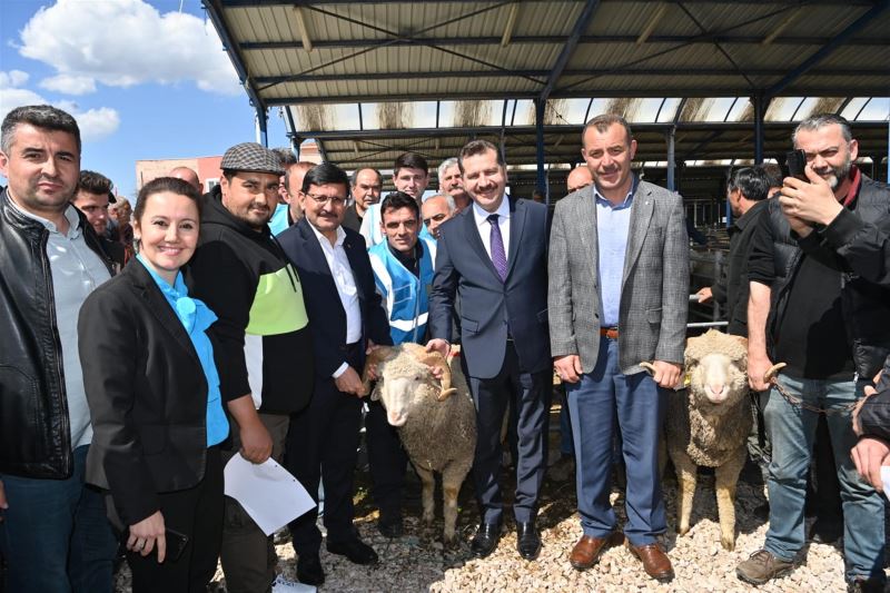 BBB’den Yerli Üreticiye Damızlık Koç Desteği