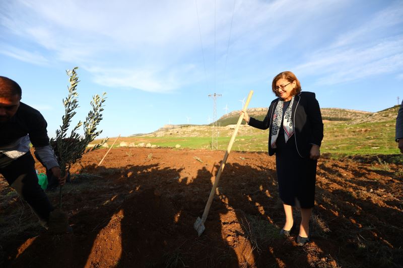 BÜYÜKŞEHİR, NURDAĞI’NDA ZEYTİN FİDANLARINI TOPRAKLA BULUŞTURDU