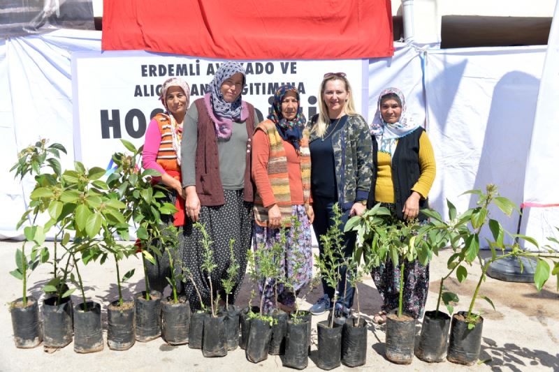 Mersin Büyükşehir, Erdemli’de Avokado Ve Alıç Fidanı Dağıttı