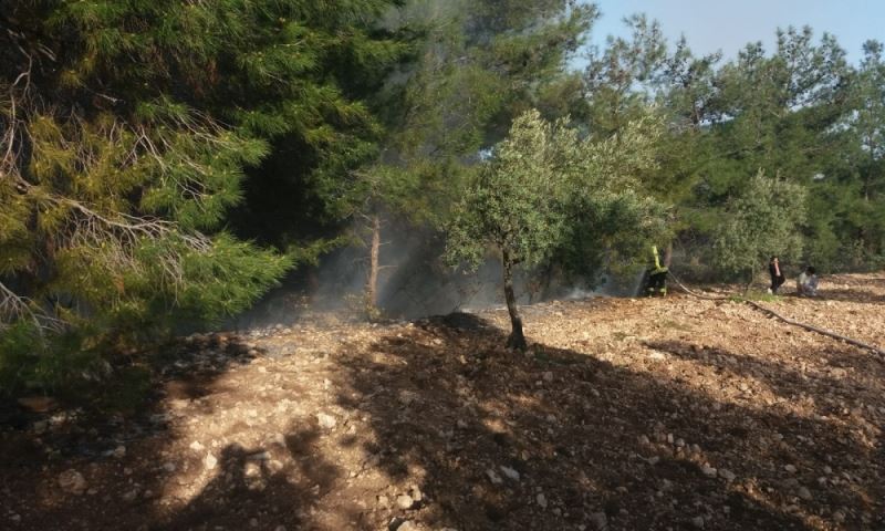 Akhisar’da Ormanlık ve Zeytinlik Alandaki Yangına Müdahale