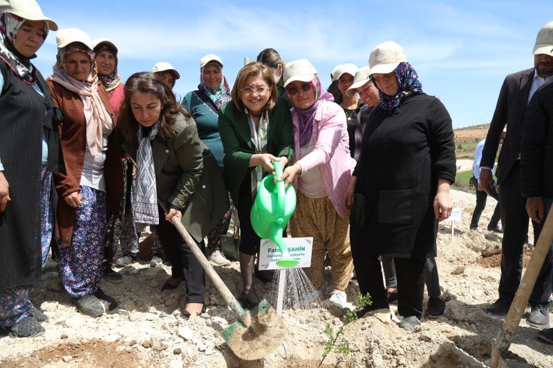 BÜYÜKŞEHİR, ÇİFTÇİYE DESTEK OLACAK TIBBİ VE AROMATİK BİTKİLER ORMANI KURDU