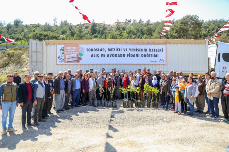Mersin Büyükşehir’den Toroslar, Mezitli ve Yenişehir’deki 105 Üreticiye Avokado ve Alıç Fidanı