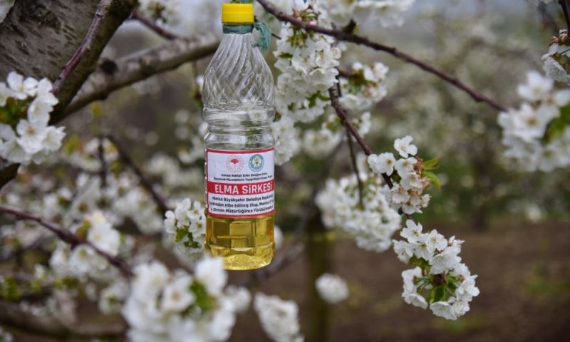 Üreticinin Biyoteknik Mücadelesine Büyükşehir Desteği
