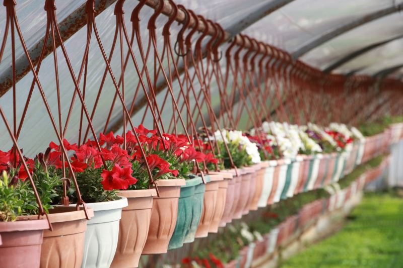 BELEDİYE SERASI EKONOMİK TASARRUF SAĞLIYOR