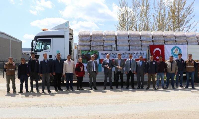 Büyükşehir