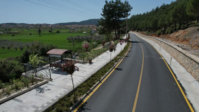 Ula’da Ağaçlandırma Çalışmaları Tamamlandı