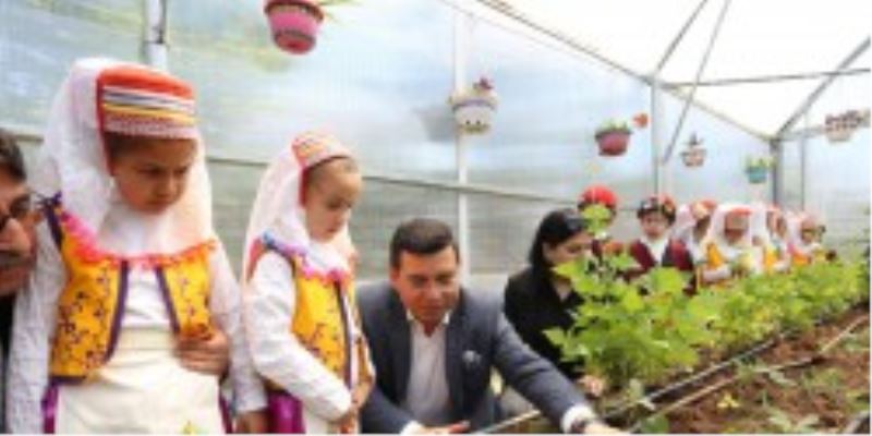 Tütüncü, okul serasına çocuklarla çilek ekti