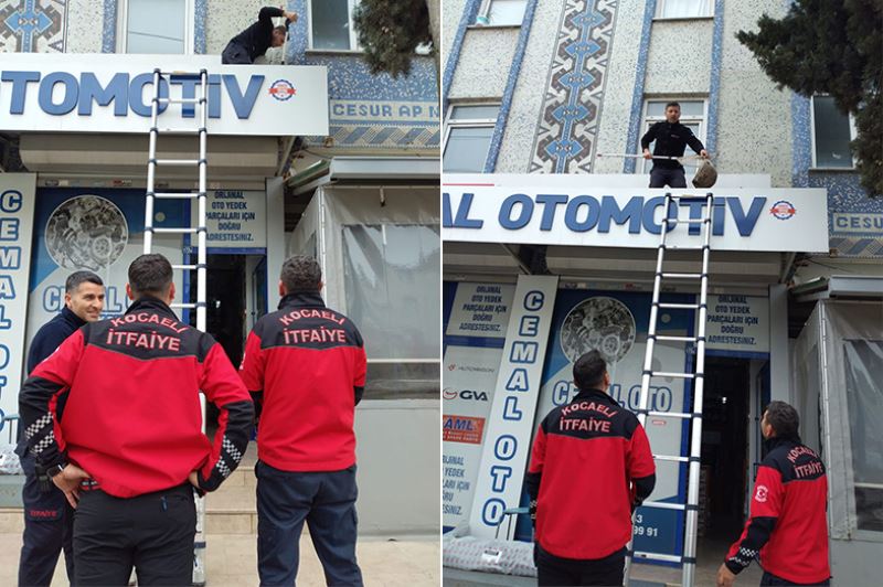 Duvara sıkışan kediyi Büyükşehir İtfaiyesi kurtardı