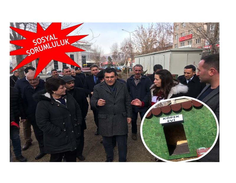 ARDAHAN’DA ARTIK SOKAK HAYVANLARININ DA EVİ VAR