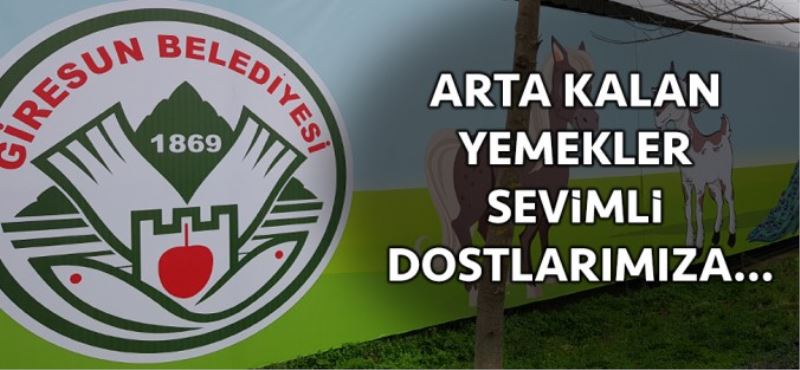 ARTA KALAN YEMEKLER HAYVANLARI DOYURUYOR