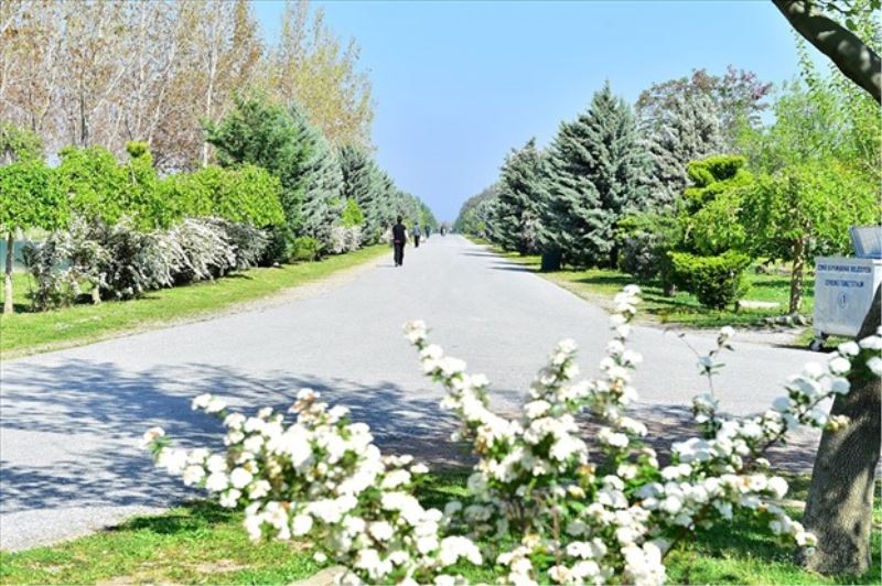 “Şeker” gibi tatil İzmir’de yapılır