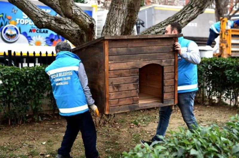 Avcılar Belediyesi sokakta yaşayan köpekler için ilçedeki parklara yeni kulübeler yerleştirdi