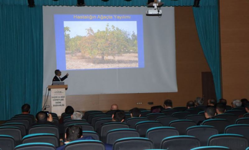 Büyükşehir Belediyesinden Fıstık Üreticilerine Seminer