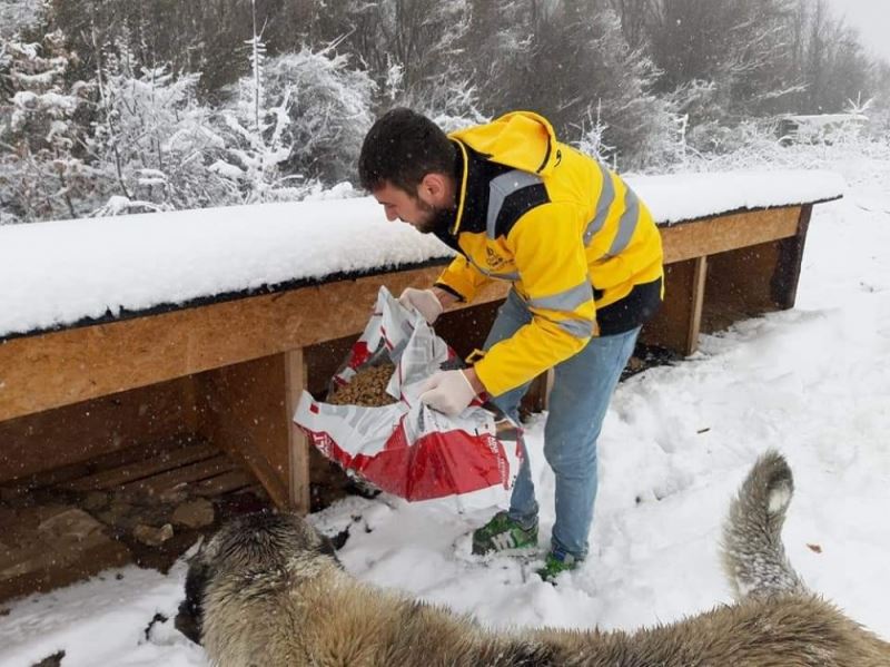 Sokaktaki canlar aç kalmıyor