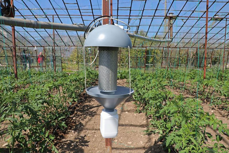 Büyükşehir domates güvesine ‘ışık tuzak’ kurdu