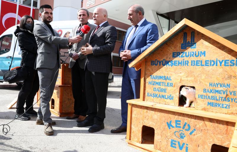 BÜYÜKŞEHİR KENTTE 60 NOKTAYA KEDİ EVİ KURACAK