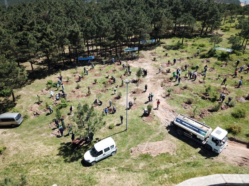 Hemşireler Günü’nde 200 fidan diktiler